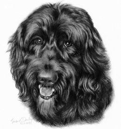 Black and white pencil drawing of a fluffy dog with a joyful expression, mouth slightly open.